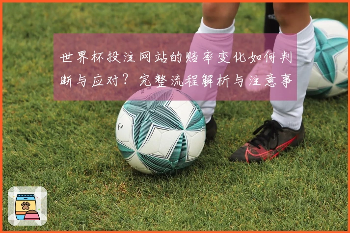 世界杯投注网站的赔率变化如何判断与应对？完整流程解析与注意事项