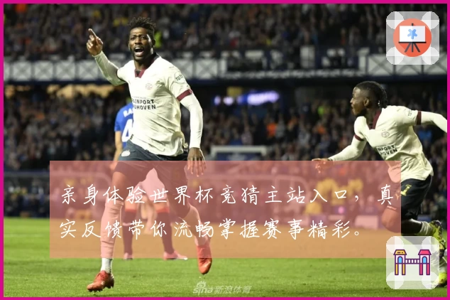 亲身体验世界杯竞猜主站入口，真实反馈带你流畅掌握赛事精彩。