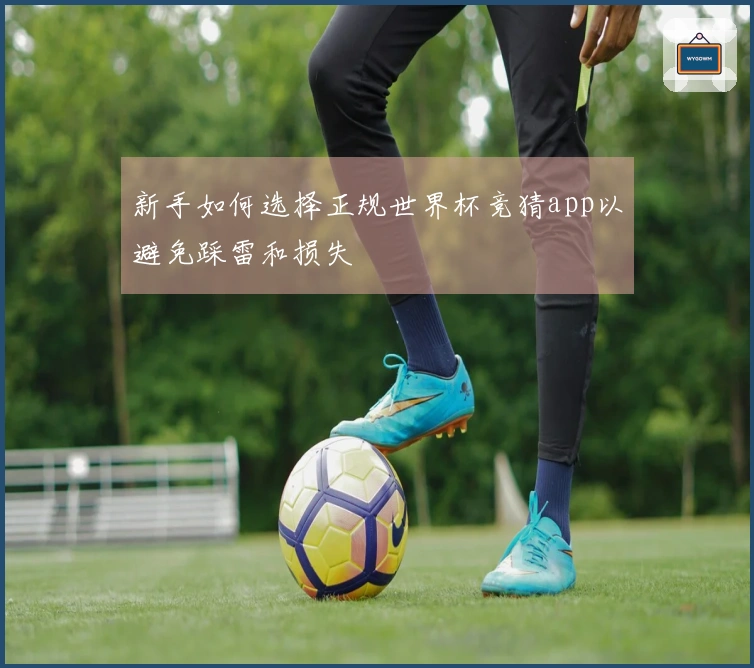 新手如何选择正规世界杯竞猜app以避免踩雷和损失