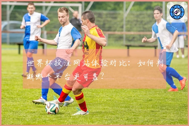 世界杯投注网站体验对比：如何判断哪个平台更可靠？