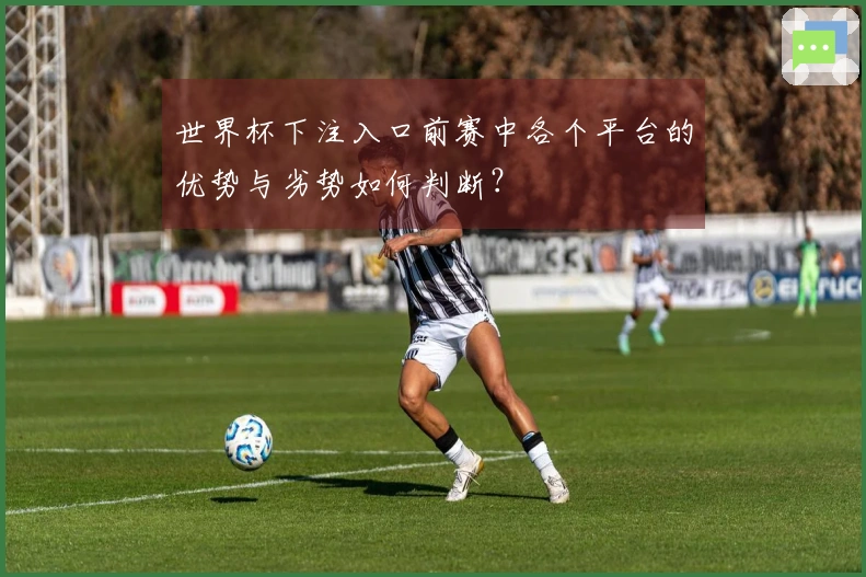 世界杯下注入口前赛中各个平台的优势与劣势如何判断?