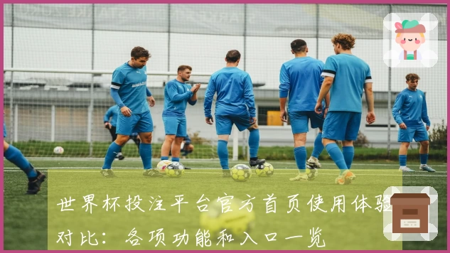 世界杯投注平台官方首页使用体验对比：各项功能和入口一览