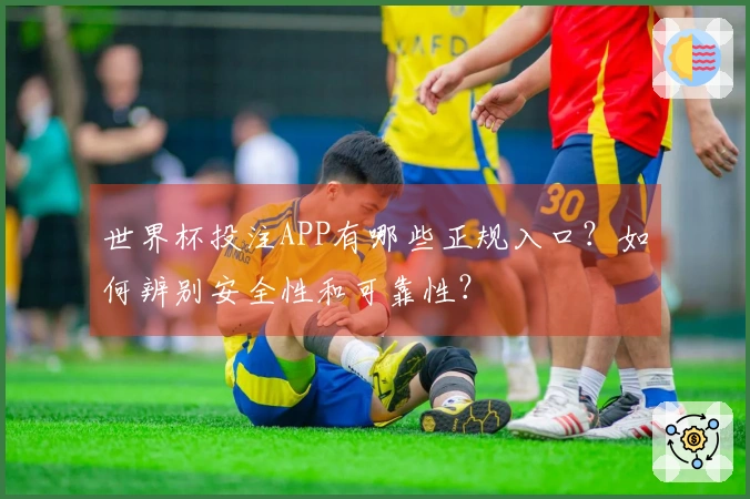 世界杯投注APP有哪些正规入口?如何辨别安全性和可靠性?