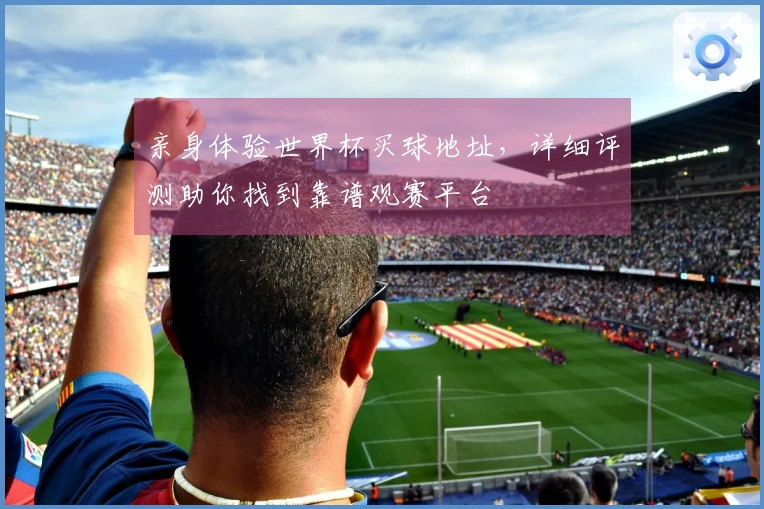 亲身体验世界杯买球地址，详细评测助你找到靠谱观赛平台