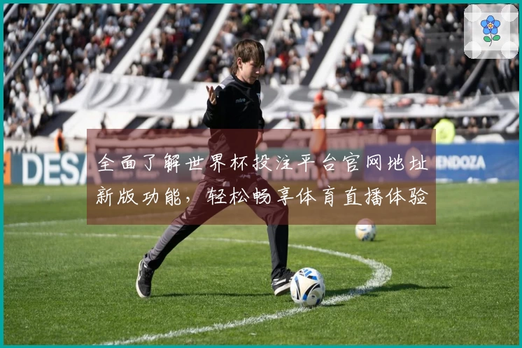 全面了解世界杯投注平台官网地址新版功能，轻松畅享体育直播体验