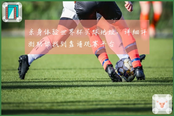 亲身体验世界杯买球地址，详细评测助你找到靠谱观赛平台