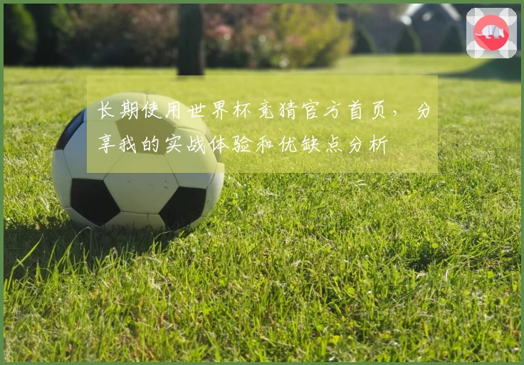 长期使用世界杯竞猜官方首页，分享我的实战体验和优缺点分析